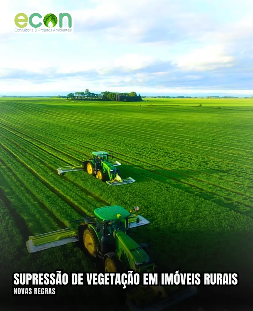 Conama publica novas regras para emissão de Autorizações de Supressão de Vegetação Nativa